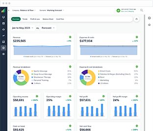 Visual financial reports make client meetings easier