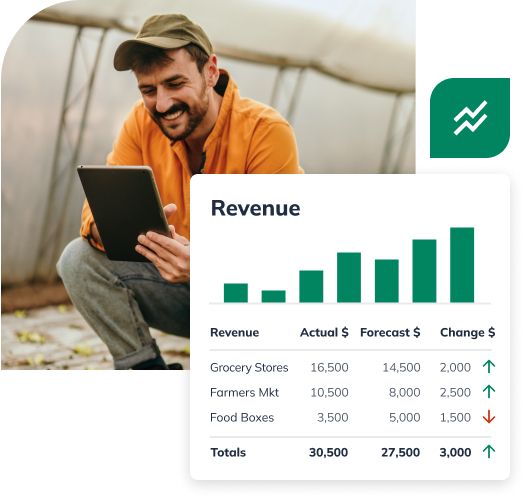 Revenue chart for farmer