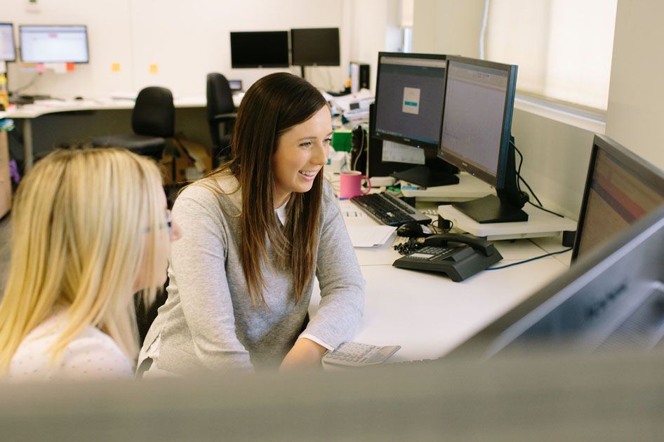 Ipsum Advisors employees working at a computer